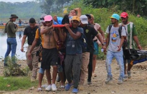 Más de 300 mil migrantes han atravesado la selva del Darién El Siglo