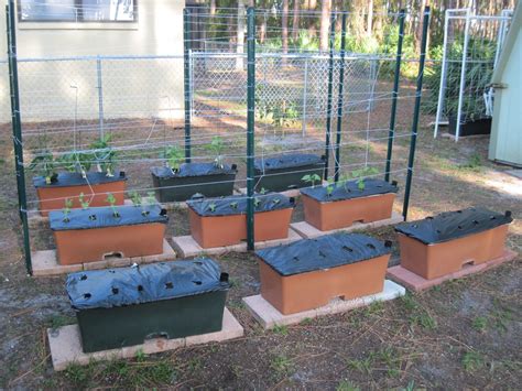 Our Earth Boxes Earthbox Gardening Garden Boxes Vegetable Garden Beds