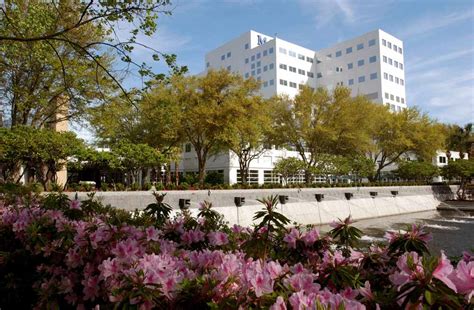 Mayo Clinic Ranked No 1 In Florida By Us News And World Report Mayo