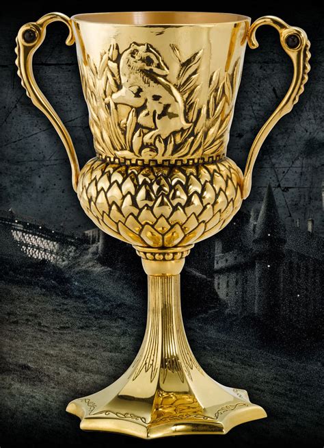 Hufflepuffs Cup Harry Potter Wiki Fandom Powered By Wikia