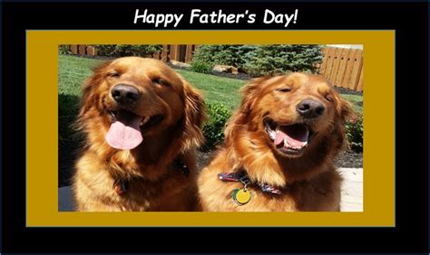 happy father s day from marley and sadie at just love goldens golden retriever happy