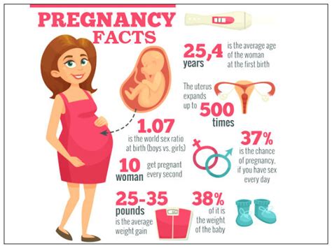 Facts About Pregnancy Interesting Things About Pregnancy Things About Pregnancy You Should