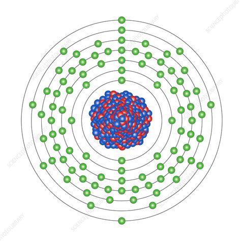 It is the heaviest naturally occurring element, with an atomic number of 92. Uranium, atomic structure - Stock Image C013/1650 ...