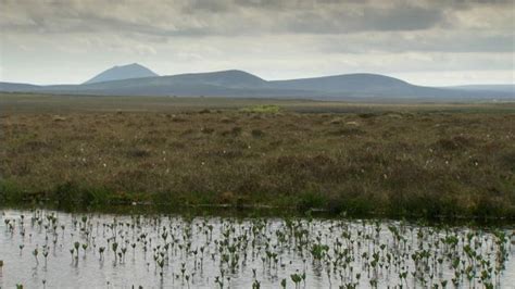 Bbc Scotlands Landscape Flow Country