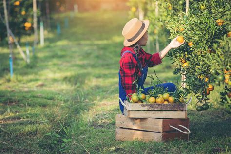 New Technology Prevents Heat Illness For Farm Workers Agdaily