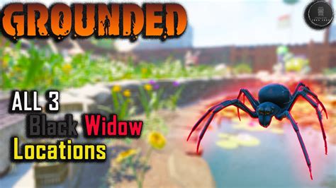 Grounded Black Widow All 3 Locations Youtube