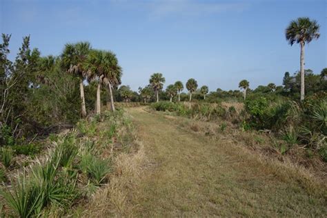 South Venice Lemon Bay Preserve Great For Nature Lovers