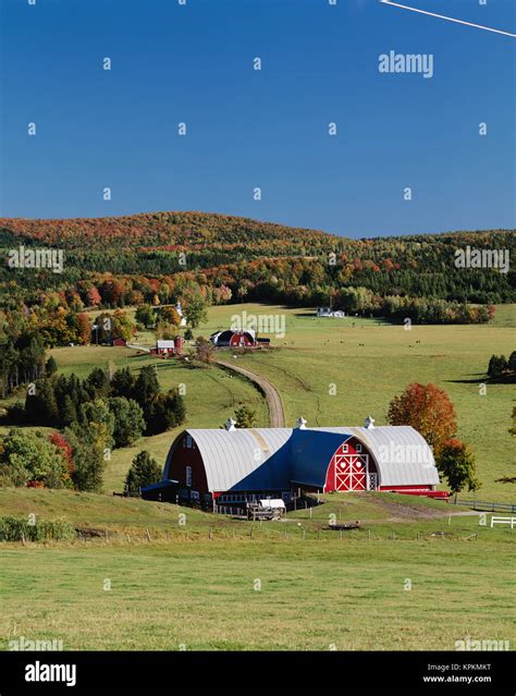 Vermont Irasburg Northeast Kingdom The Diamond Heart Farm Large