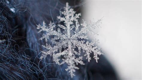 How To Photograph Snowflakes With A Macro Lens Mostly Lisa