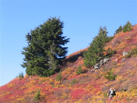 Bare Mountain Washington Trails Association