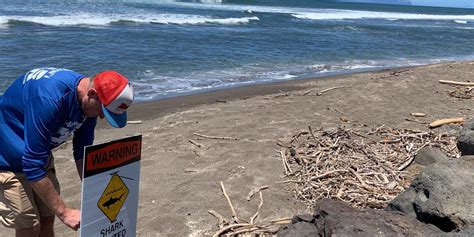 Kauai Officials Close Off Beach In Kekaha Due To Apparent Shark Bite