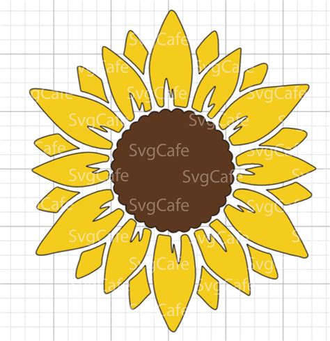 Sunflower Svg Flower Svg Files For Cricut Digital Download Etsy Images