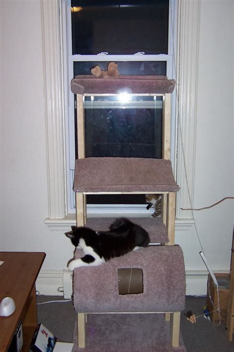 Do you like the idea of a cat tree that actually looks like a tree, and even that sits right near the wall, but you 8. Homemade Cat Tree Plans - Easy DIY Woodworking Projects ...
