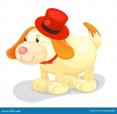 Dog Hat Stock Photos Image 24173163