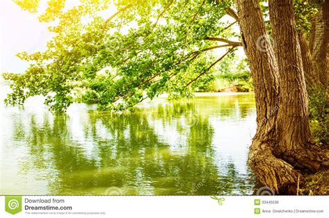 River Landscape Royalty Free Stock Image Image 33445536