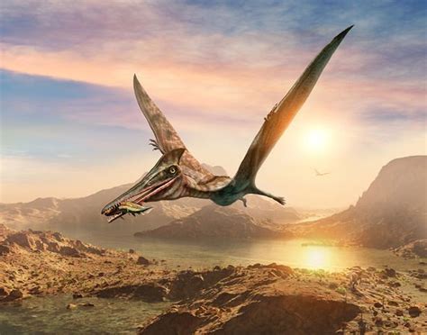 Dinosaur Discovery Scientists Stunned By Four New Pterosaur Species Found In A Row Science