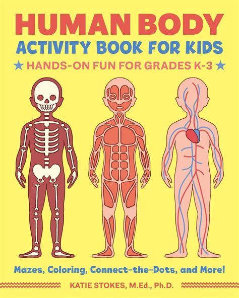 Human Body Activity Book For Kids Hands On Fun For Grades K 3 Human