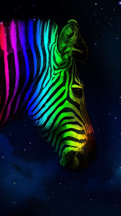 Rainbow Zebra Colorful Rainbow Zebra Hd Phone Wallpaper Peakpx