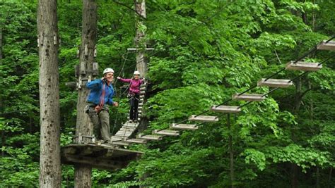 Take a leap of Faith… Tree Top Trekking - SQM Pick