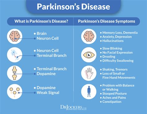 17 Action Steps To Improve Parkinsons Disease