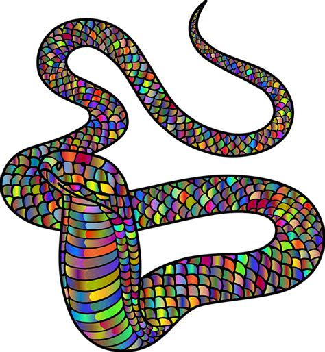 King Cobra Snake Animal Free Vector Graphic On Pixabay
