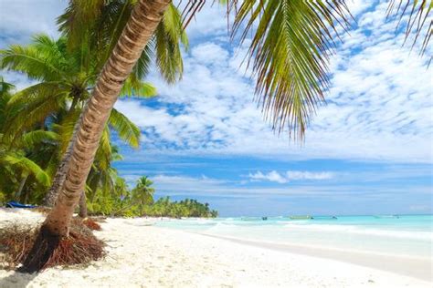 Beautiful Caribbean Beach In Dominican Republic Photographic Print