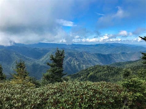 Three Favorite Day Hikes In Great Smoky Mountains National