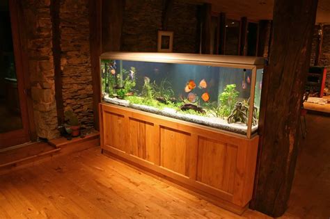 Awesome Fish Tank Setups