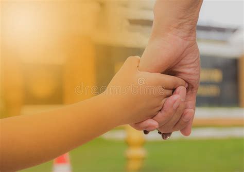 366 Mother Holding Up Child Sunset Stock Photos Free And Royalty Free
