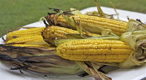 Until the husk gets brown, even burnt. Grilled Corn on the Cob | Recipes Squared