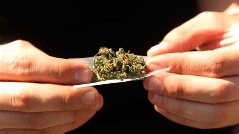 Los Jóvenes Fuman Cannabis Antes De Entrar A Clase Para Poder Afrontar