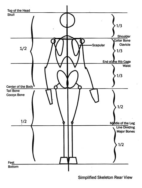 Illustration 2 Figure Drawing Proportion Guides