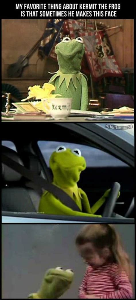 Kermit The Frog Dirty Quotes