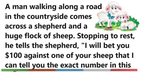 Funny Joke ‣ Counting Sheep Satibal