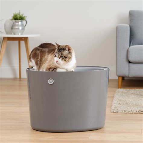Top Entry Cat Litter Box Furniture Cat Meme Stock Pictures And Photos