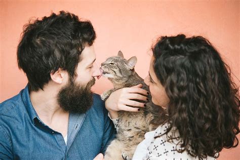 Why Does Your Cat Lick You Then Bite You Flipboard