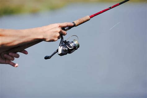 Best Conventional Reels For Bottom Fishing Fishing Munk