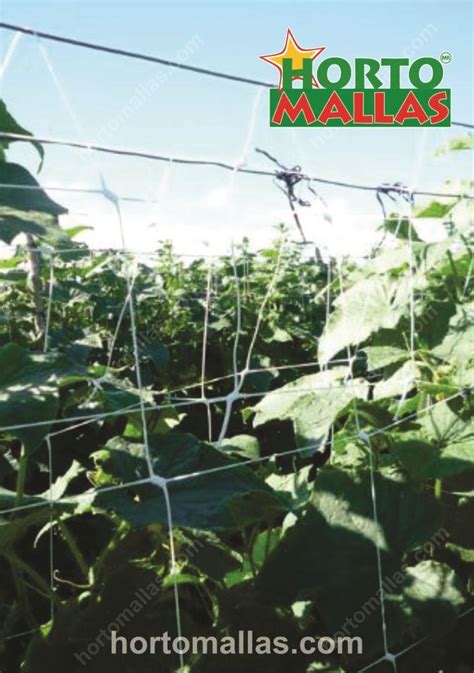 Trellis Netting Cucumber Pepino Malla Cultivo Hortomallas Hortomallas