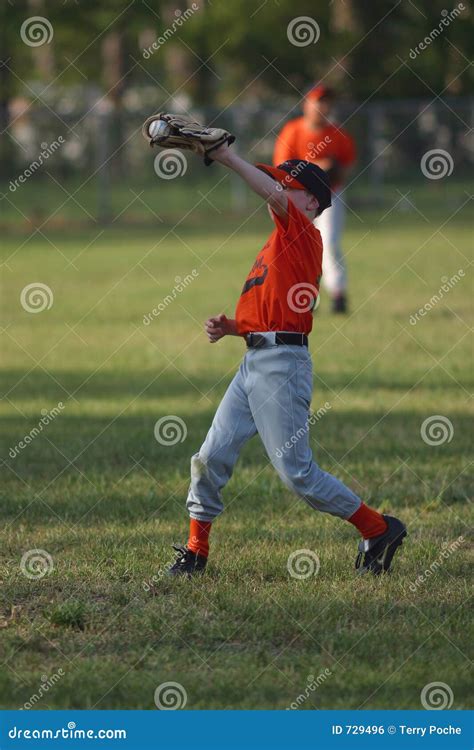 Catching The Ball Stock Photo Image Of Sport Baseball 729496