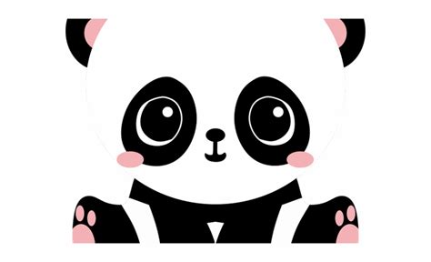 Kawaii Png Cute Cartoon Panda Cute Panda Bear Cartoon 920x560