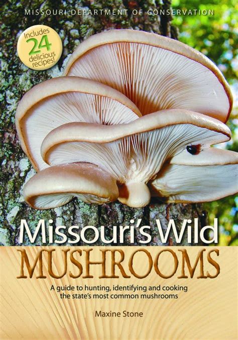 Hunting Season Opens For Missouri Mushrooms Fenton Mo Patch
