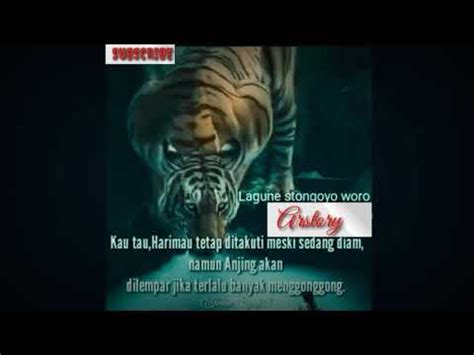 Story Wa Macan Putih - status wa galau