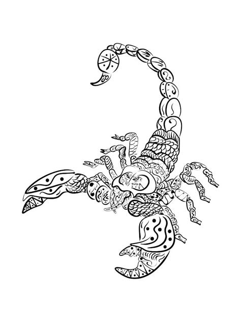Scorpion Coloring Pages For Adults Free Download And Print