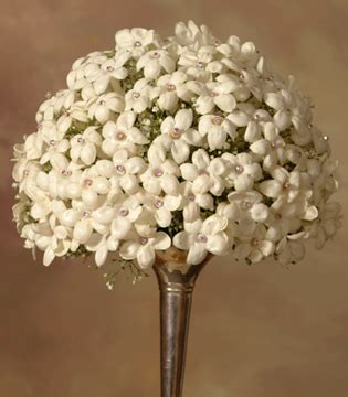 Maybe you would like to learn more about one of these? Miami wedding bridal bouquets in Miami, Flowers, roses ...