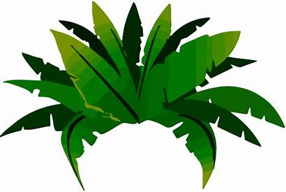 Clipart Rainforest Plant Cartoon Plants Leaf Jungle