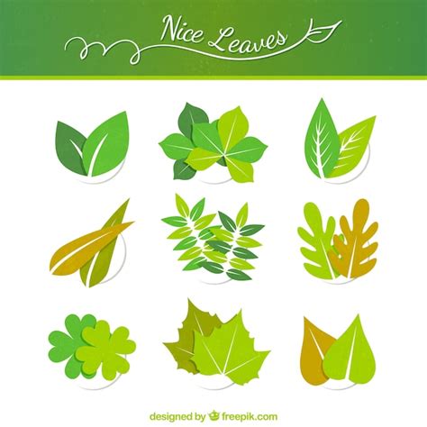 Green Leaves Collection Vecteur Premium