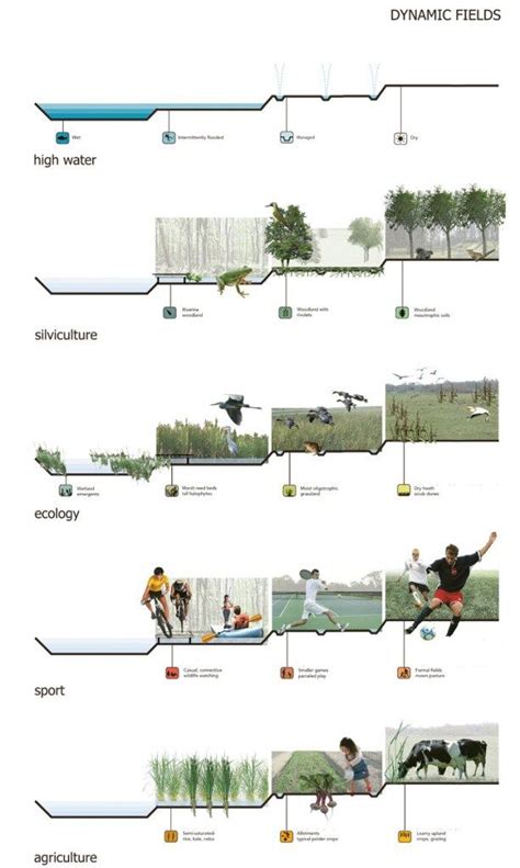 Landingarchitecture Landscape Architecture Design Landscape Diagram