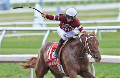 2016 Kentucky Derby Gun Runner Pedigree Profile Horse