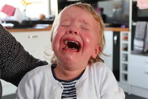 How To Cope With Your Childs Tantrums Whoobly