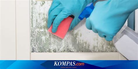 Satu lagi cara untuk menghilangkan sakit tekak yang boleh dibuat anda adalah dengan menggunakan semburan hidung yang boleh didapati di kaunter. Cara Hilangkan Sakit Dada - Punca Pening Kepala (Dan Cara ...